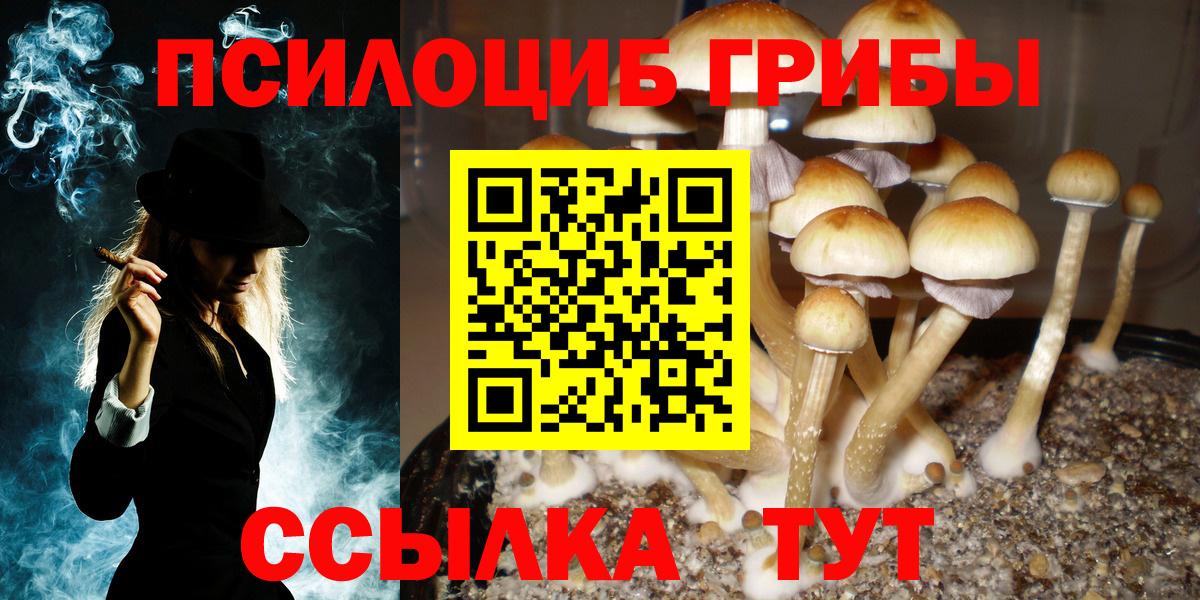 Галлюциногенные грибы Cubensis Щёлково