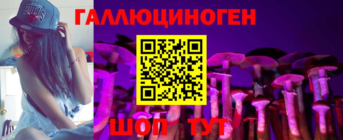 Щёлково  Галлюциногенные грибы Psilocybe  Вход с VPN 